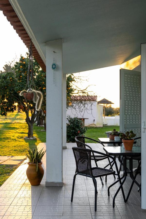 Na Quinta- Alojamento Rural Com Piscina De Agua Salgada Poceirao ภายนอก รูปภาพ