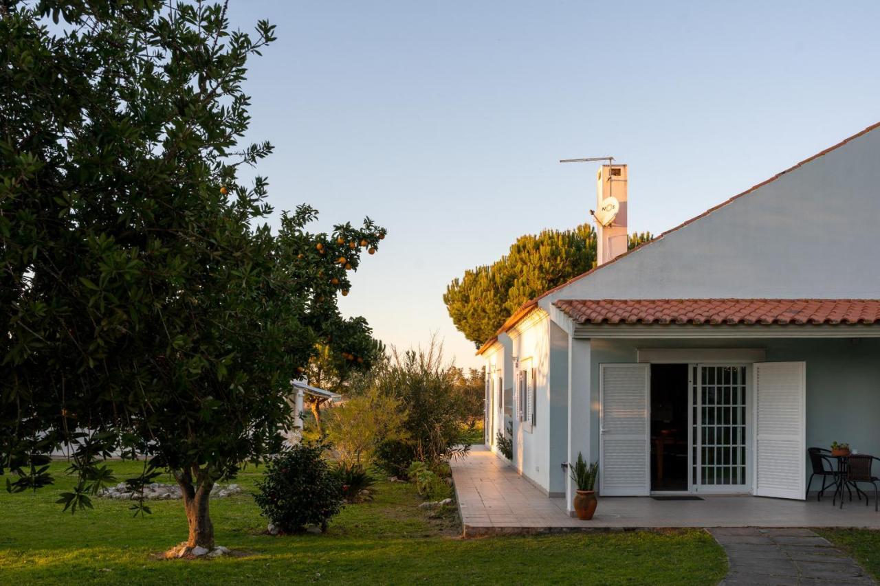 Na Quinta- Alojamento Rural Com Piscina De Agua Salgada Poceirao ภายนอก รูปภาพ