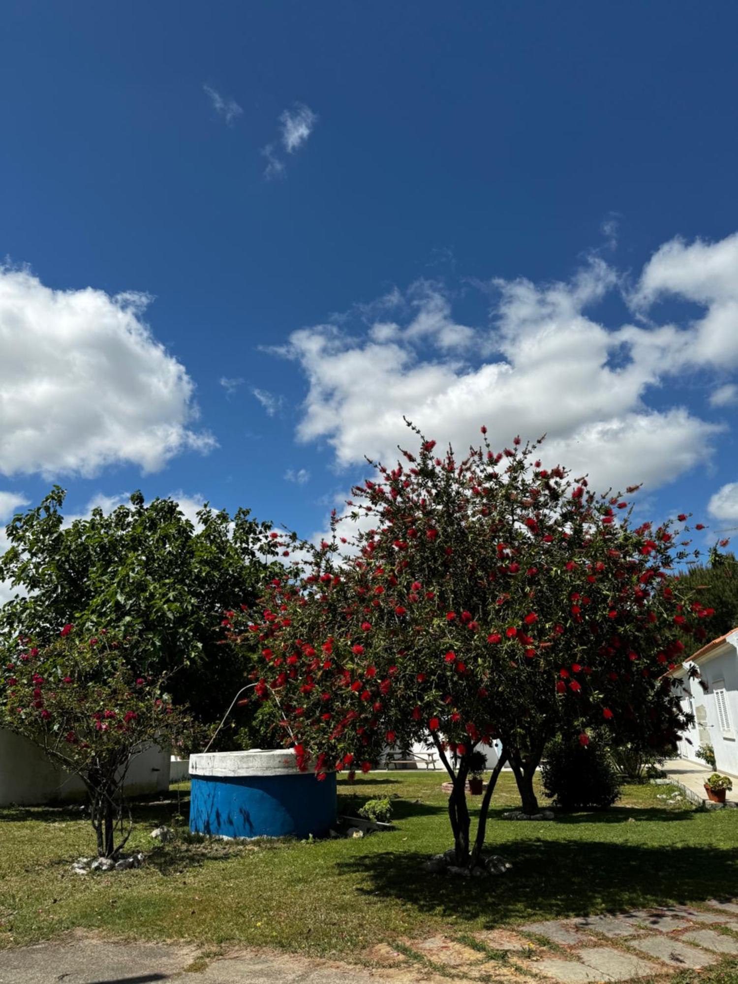 Na Quinta- Alojamento Rural Com Piscina De Agua Salgada Poceirao ภายนอก รูปภาพ