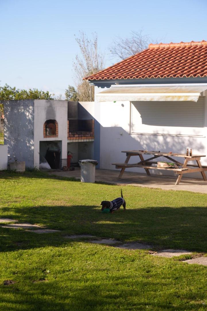 Na Quinta- Alojamento Rural Com Piscina De Agua Salgada Poceirao ภายนอก รูปภาพ